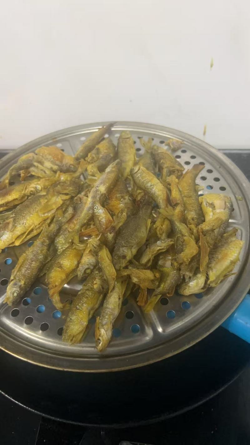 溪鱼