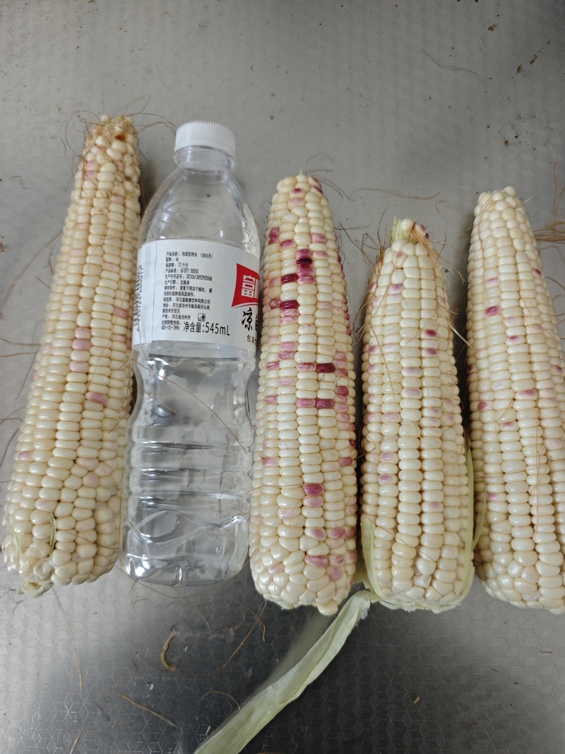 甜糯玉米，花甜糯玉米