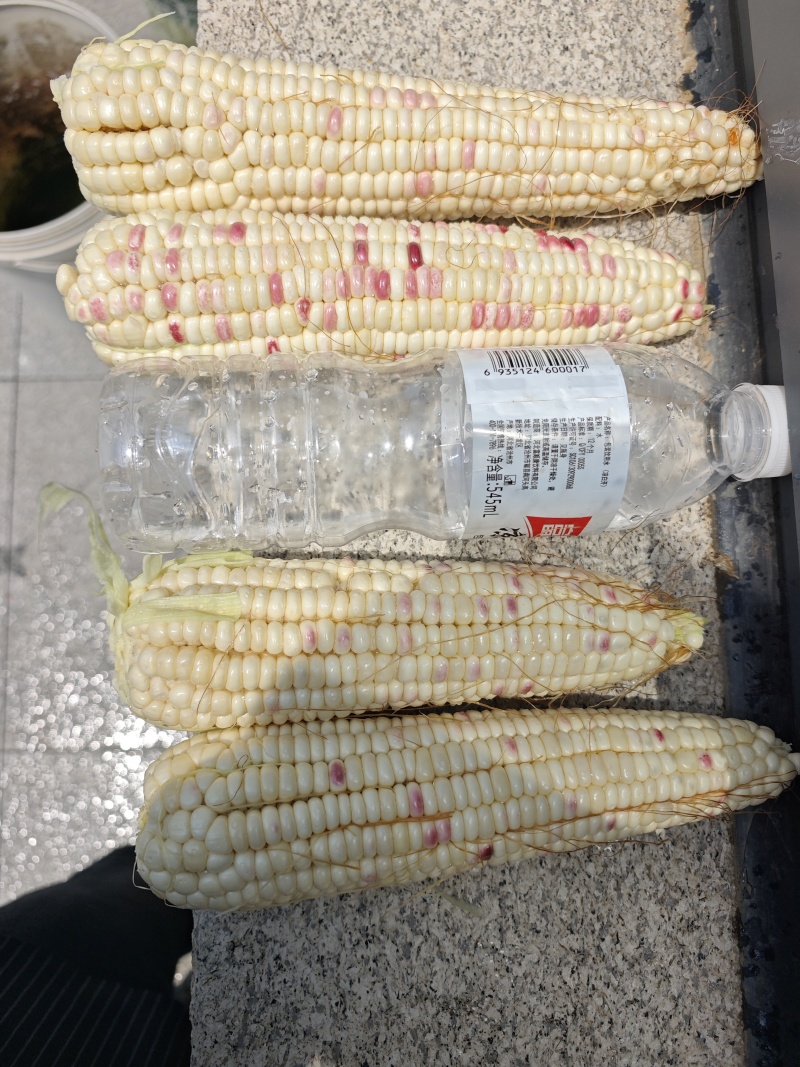 甜糯玉米，花甜糯玉米