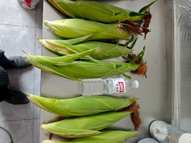 甜糯玉米，花甜糯玉米