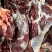 精品新疆散养土黄牛肉新鲜牛肉货源充足真空包装