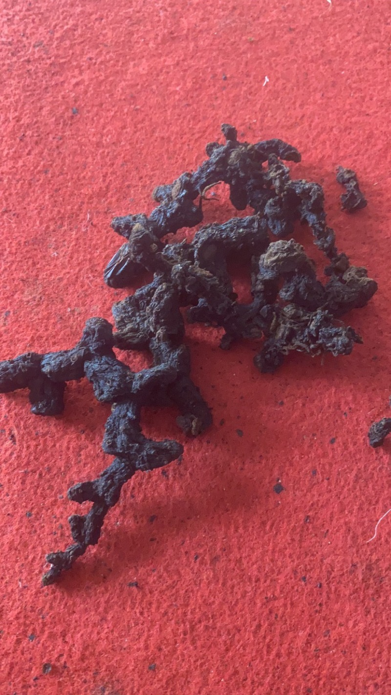 广西纯野生多花黄精九制足干货（正品保证）