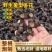 广西纯野生多花黄精九制足干货（正品保证）