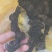 广西纯野生多花黄精九制足干货（正品保证）
