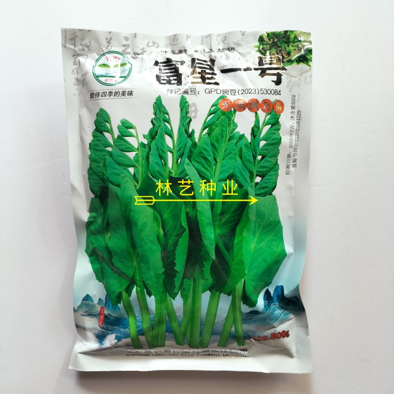 富星一号无须豌豆苗种子抗病高产耐寒绿荚白花豌豆籽