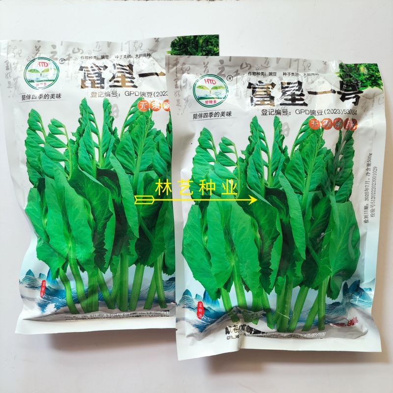富星一号无须豌豆苗种子抗病高产耐寒绿荚白花豌豆籽