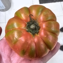 牛排番茄