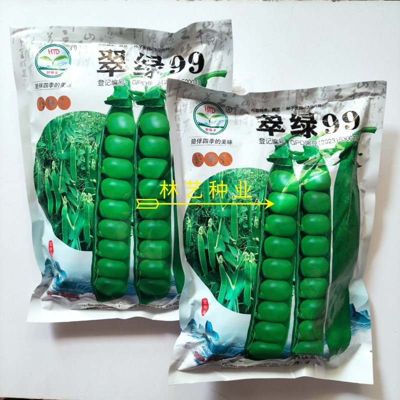 翠绿99长寿仁豌豆种子鲜荚类型品种早熟高产抗病商品性佳