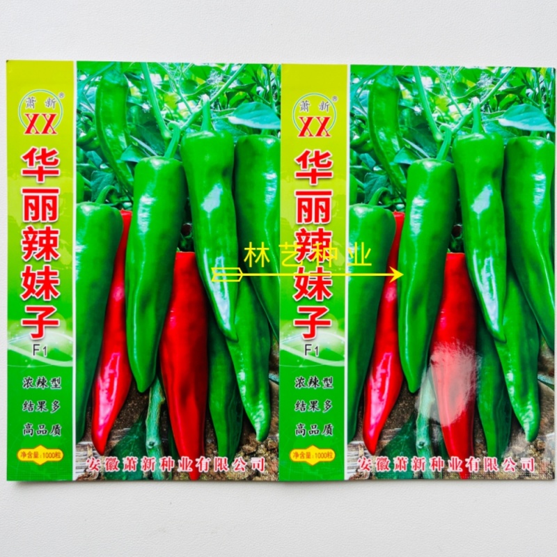 华丽辣妹子辣椒种子早熟干鲜青椒红椒高产正宗种籽辣味浓