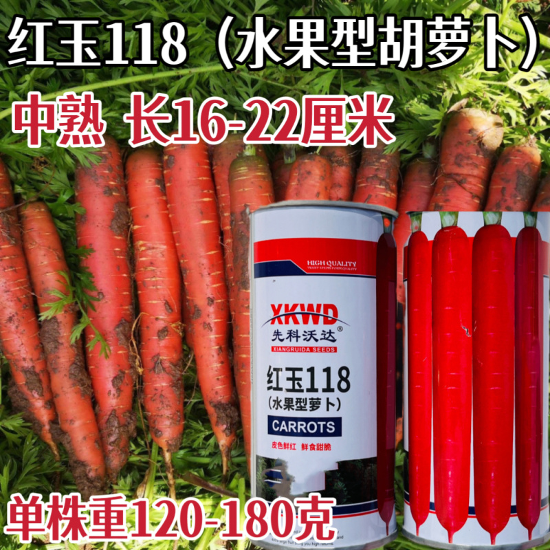 红玉118水果胡萝卜种子鲜红光滑甜脆高产抗病商品性佳