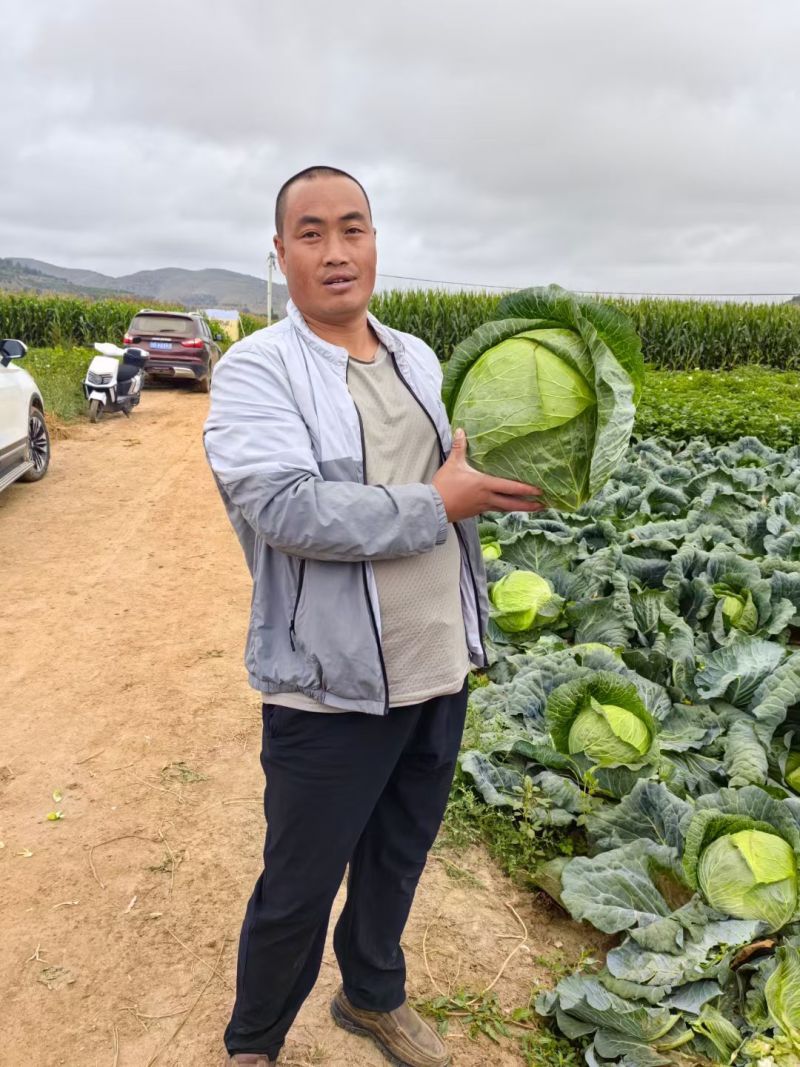 精品大铁头