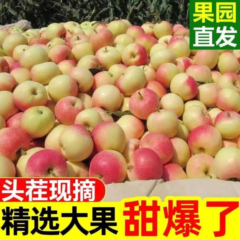 安徽砀山正宗红苹果又大又圆脆甜多汁个大
