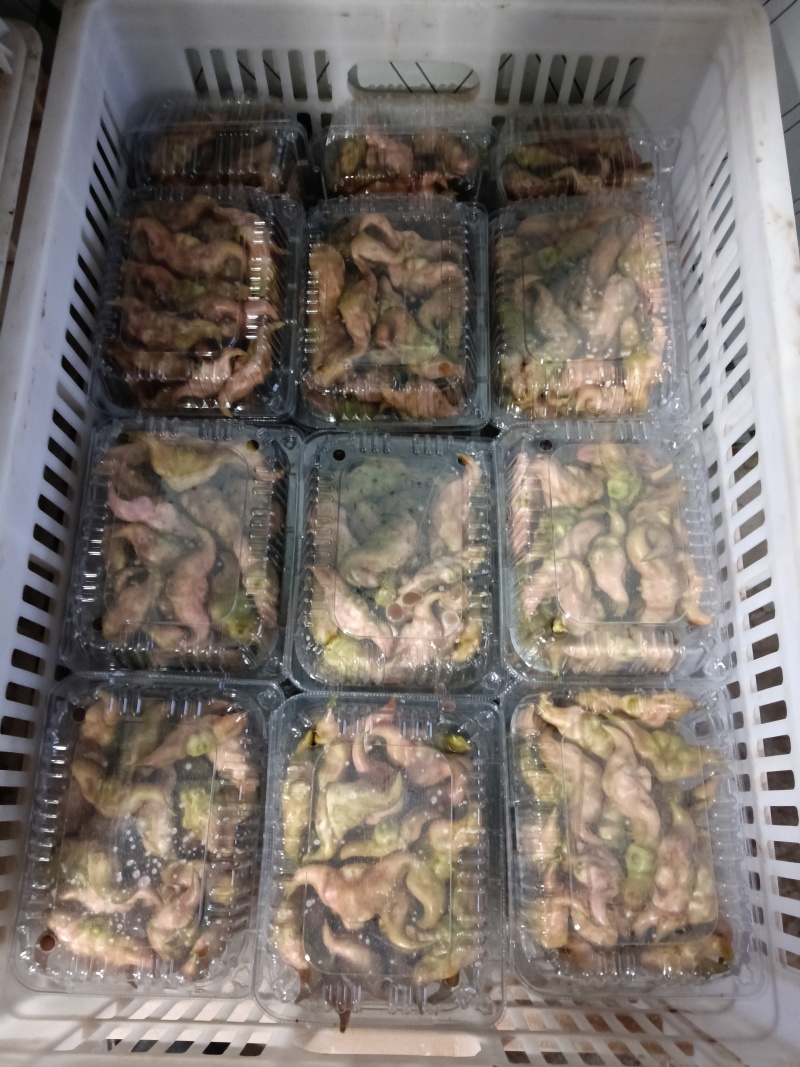 湖北菱角，洪湖菱角，产地直销，现货先发，老嫩菱角大量有货