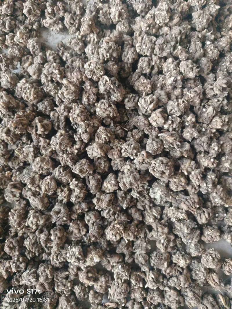 猫爪草，水洗两边，产地一手货源，现货，24小时内发货