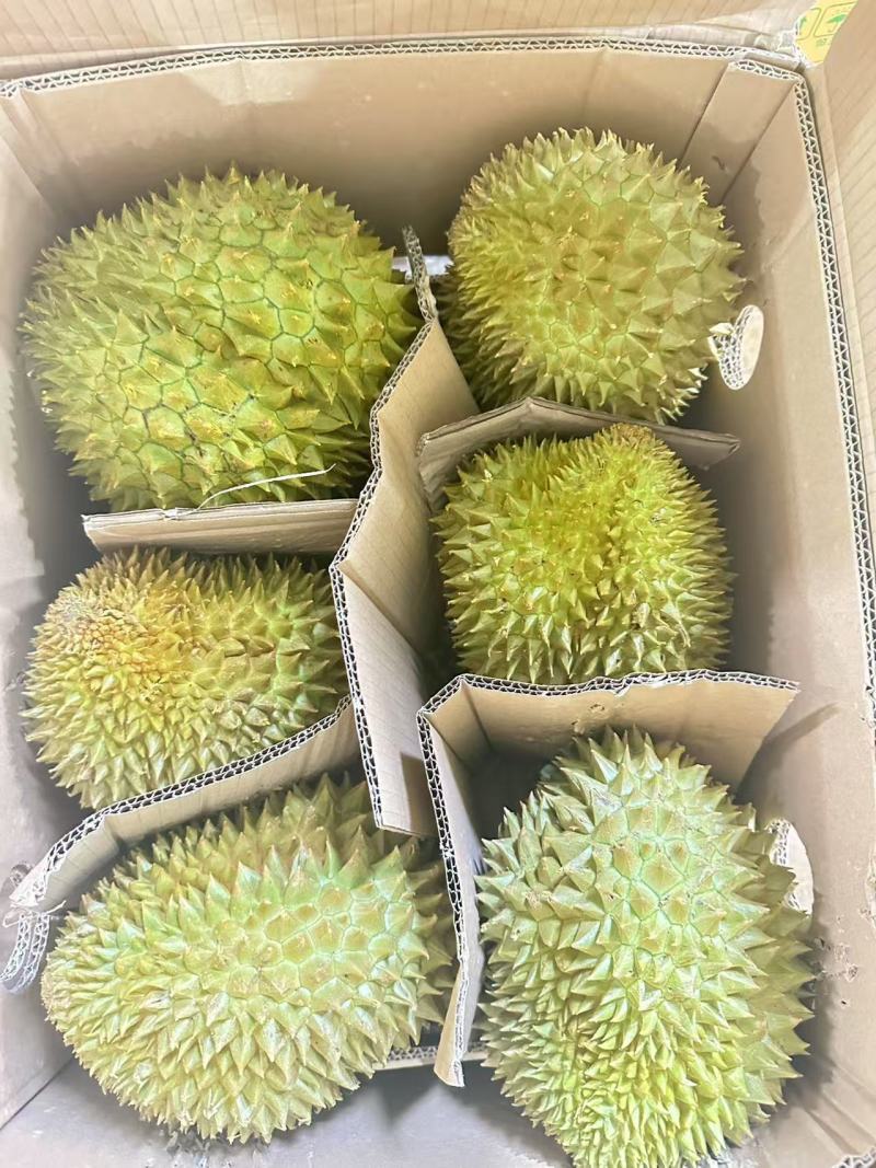 金枕榴莲A货靓甜正，每箱5-6颗