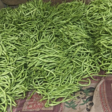 豆角王