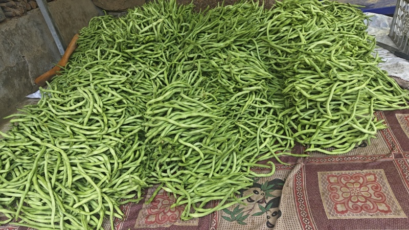 豆角王