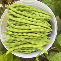 青豆