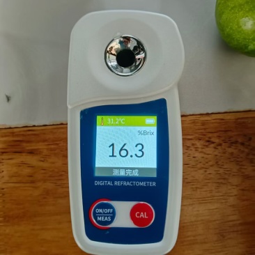 羌脆李成熟了，需要的赶紧联系