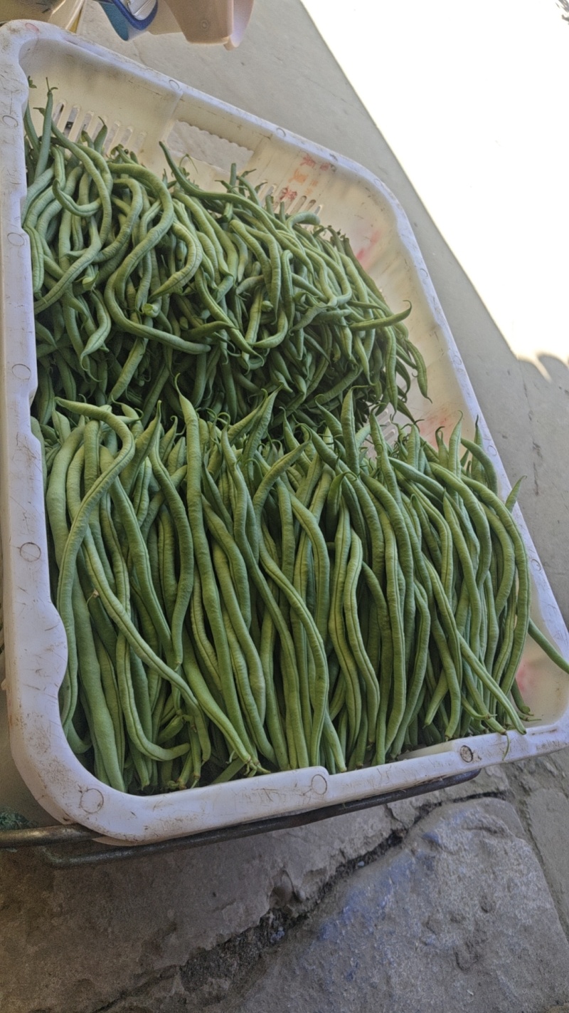 豆角王