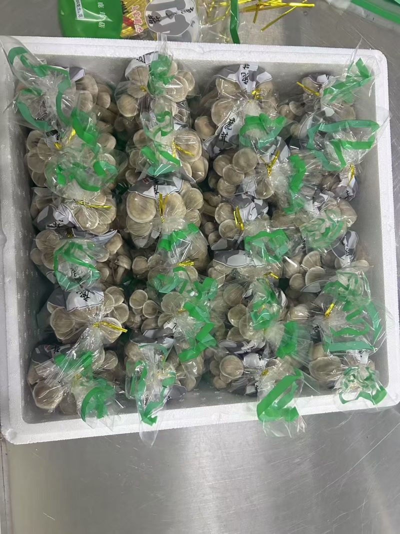鹿茸菇国企厂家发货，保质保量，