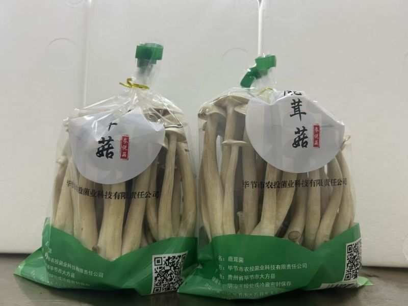 鹿茸菇国企厂家发货，保质保量，