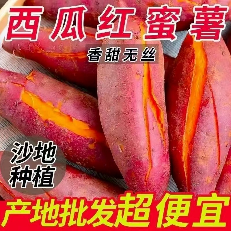 多种地瓜品种，西瓜红，白哈密，济薯26，烟薯25，龙薯9