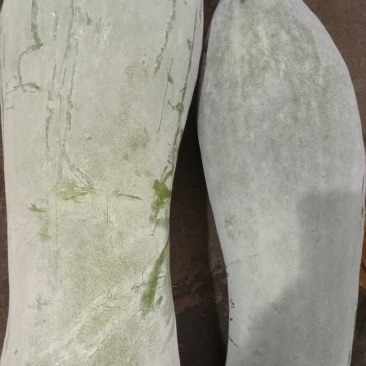 河南白皮大冬瓜产地一手货源量大价优欢迎随时电话联系