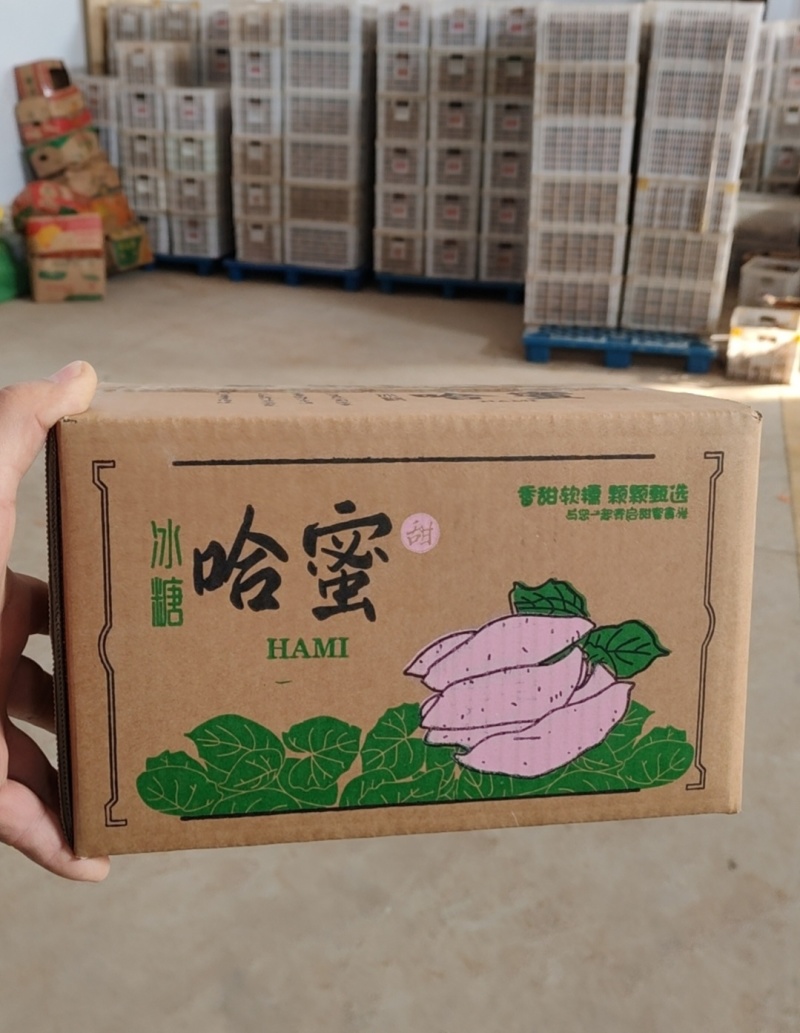 【一件代发】冰糖哈蜜红薯一件代发香甜软糯产地直发整箱包邮