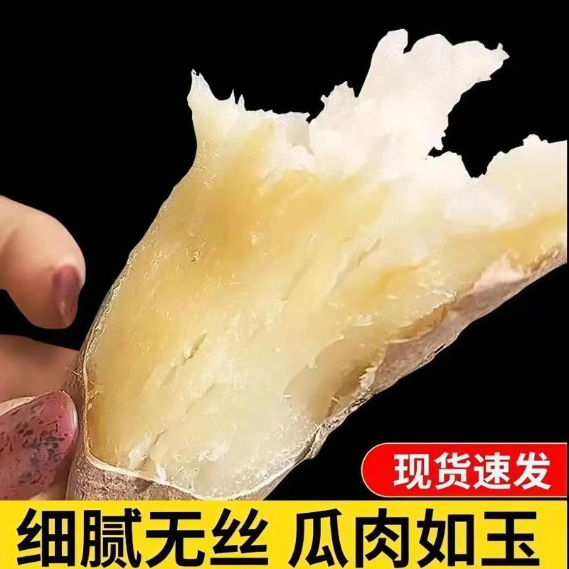 【一件代发】冰糖哈蜜红薯一件代发香甜软糯产地直发整箱包邮