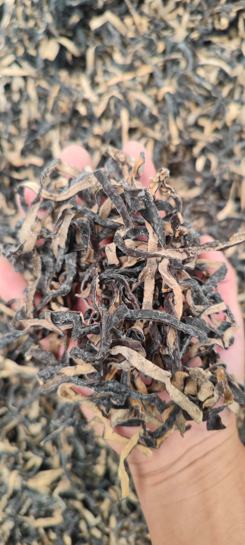 白背毛木耳丝批发螺蛳粉食堂可分装电商一件代发头茬皮木耳丝