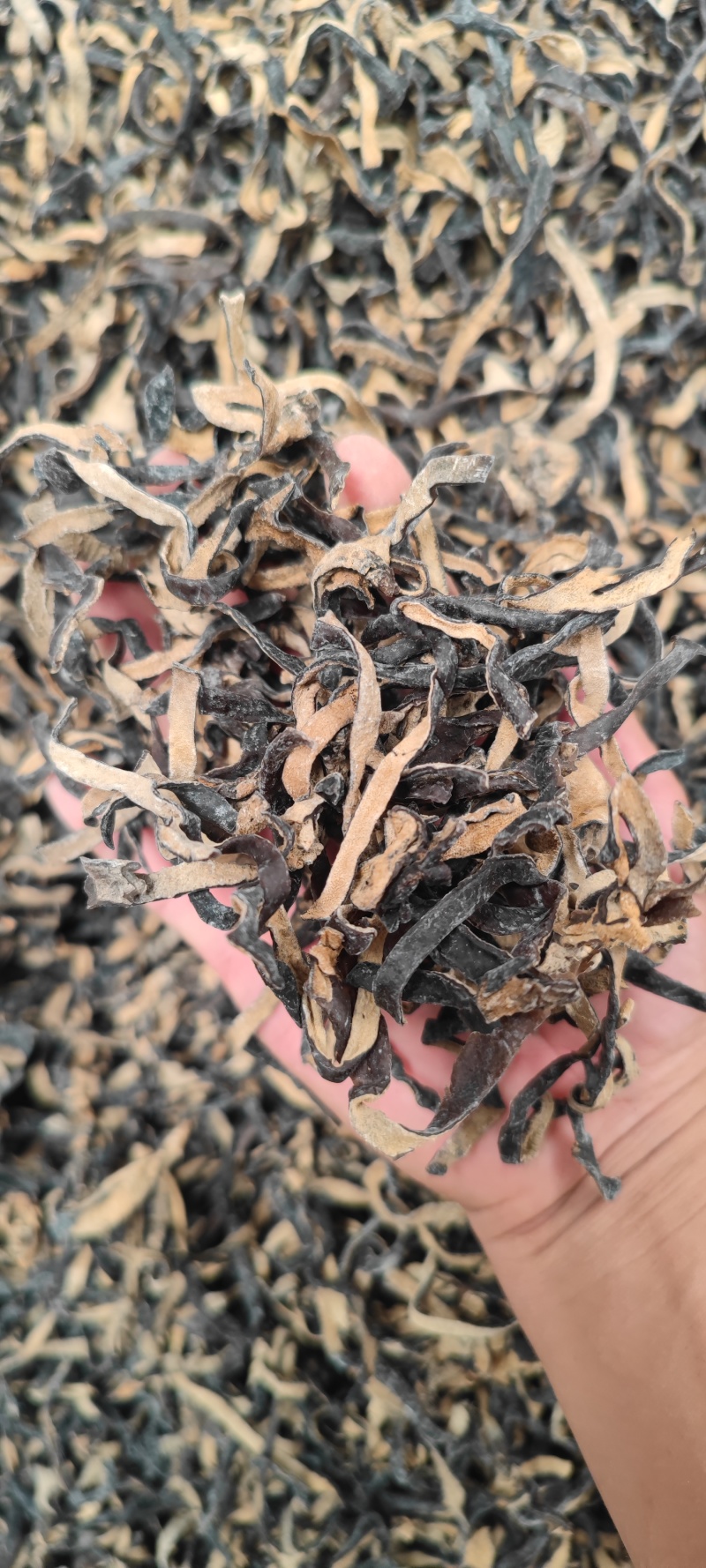 白背毛木耳丝批发螺蛳粉食堂可分装电商一件代发头茬皮木耳丝