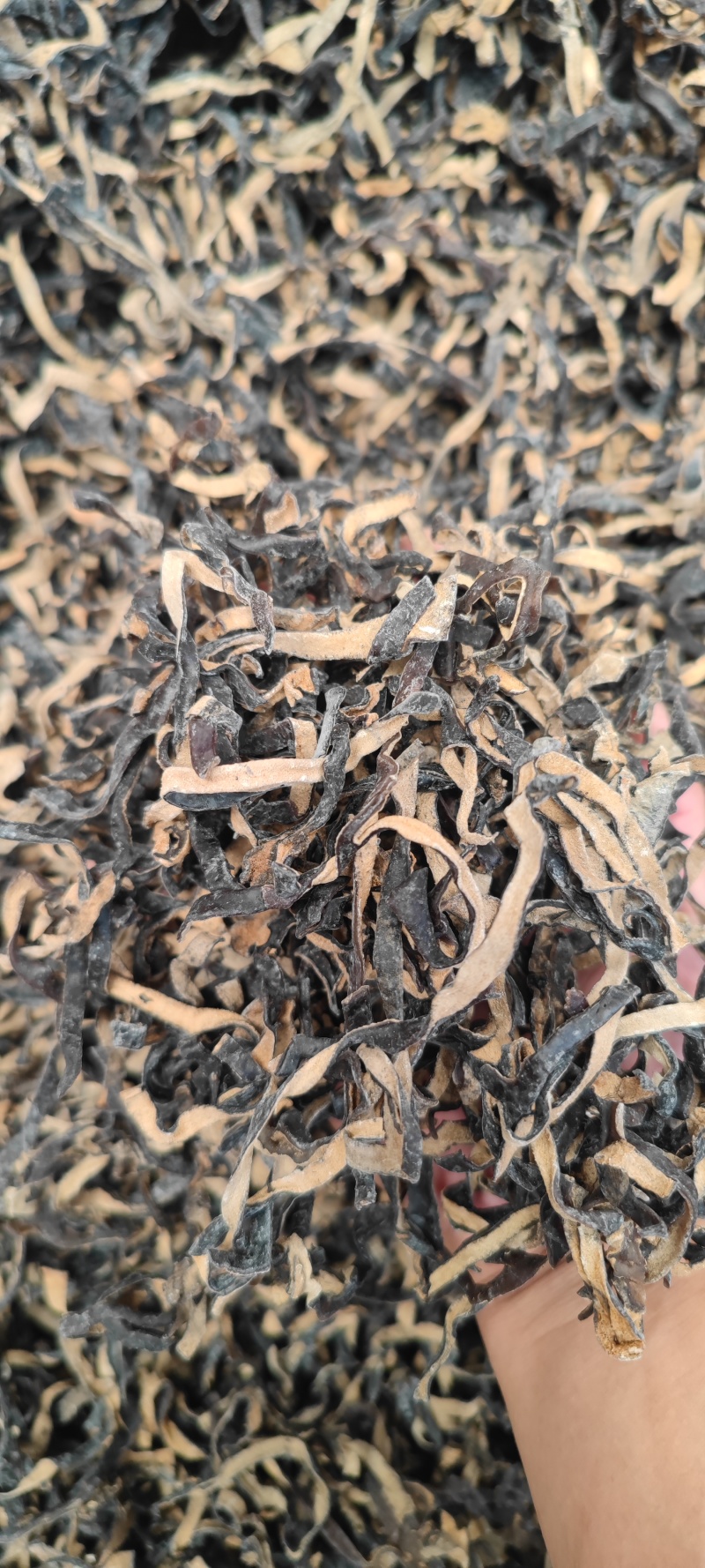 白背毛木耳丝批发螺蛳粉食堂可分装电商一件代发头茬皮木耳丝