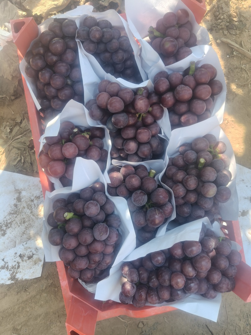 精品水晶大量上市颗粒大颜色好看有需要老板可以联系我价格