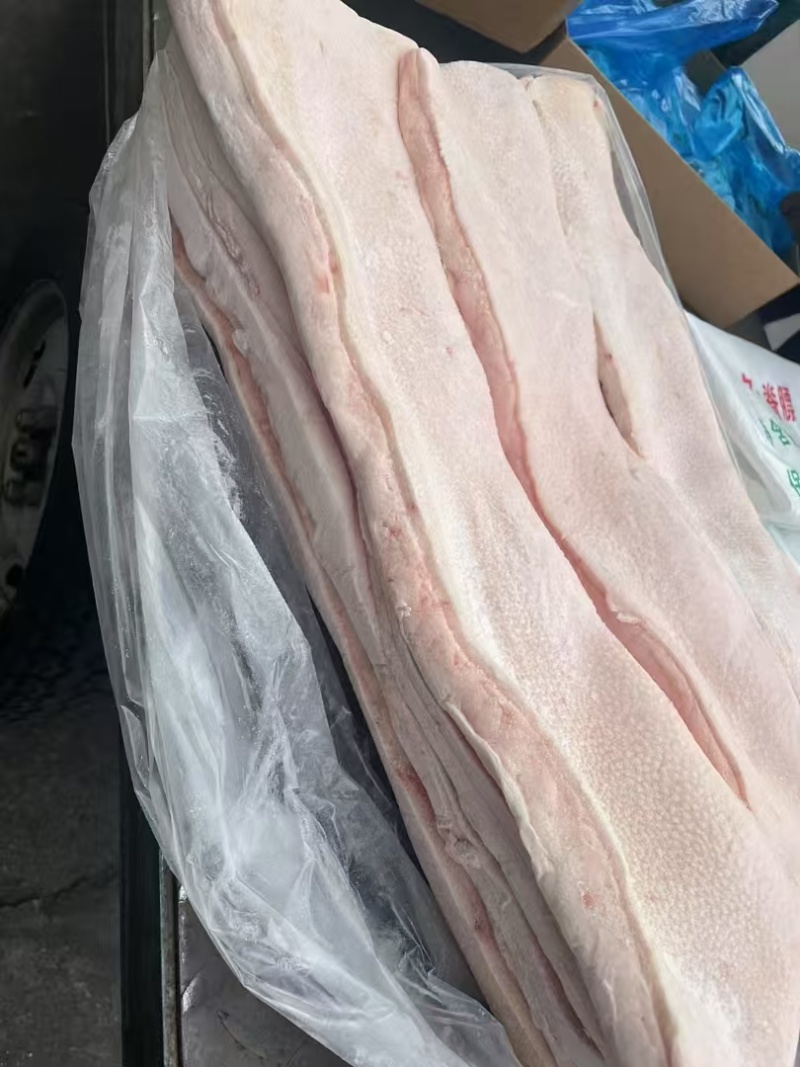 脊背膘