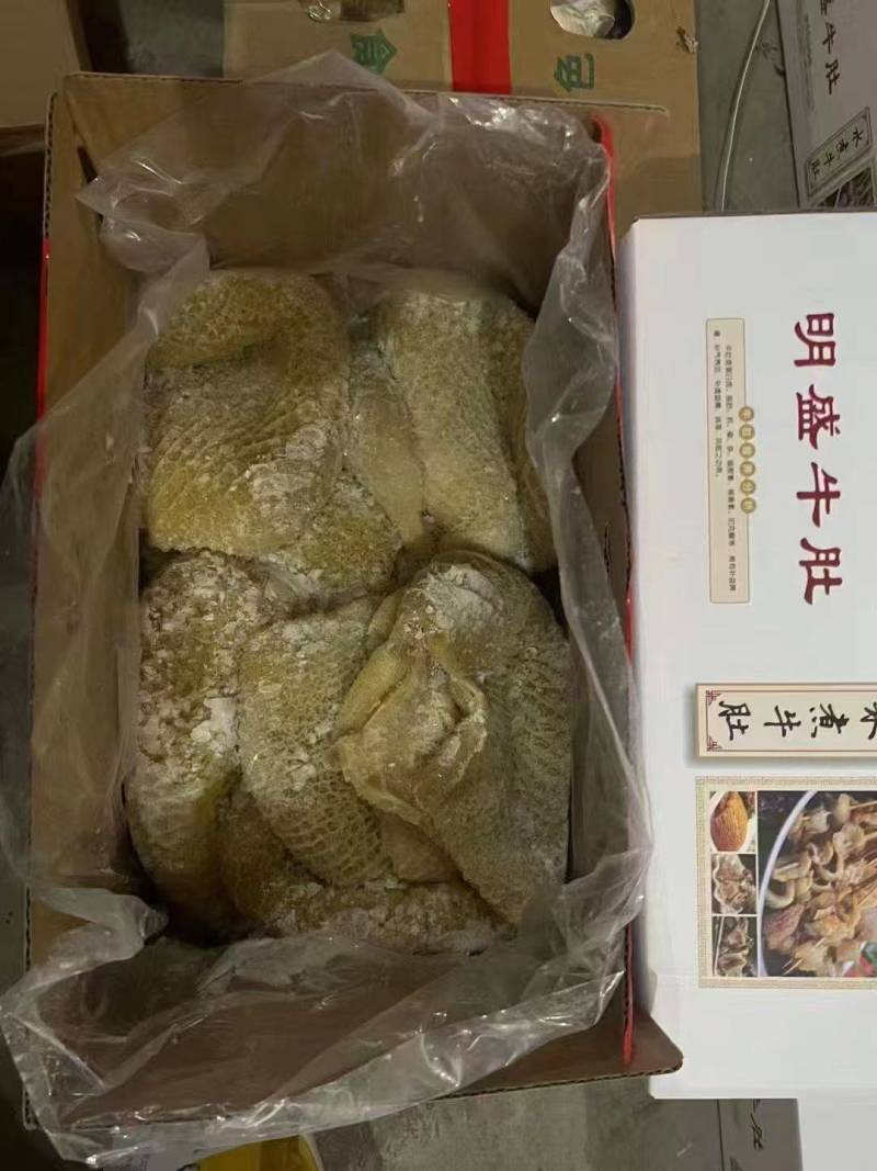 全熟金钱肚