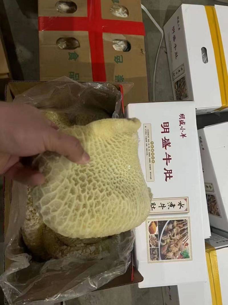 全熟金钱肚