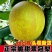 翠冠蜜梨