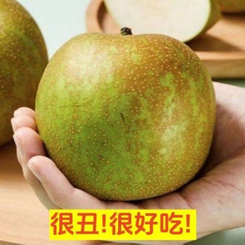 翠冠蜜梨