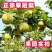 翠冠蜜梨