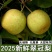翠冠蜜梨