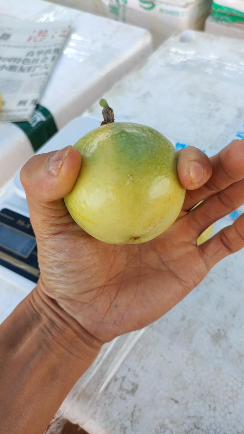 广东百香果湛江钦蜜9号香甜多汁货源充足