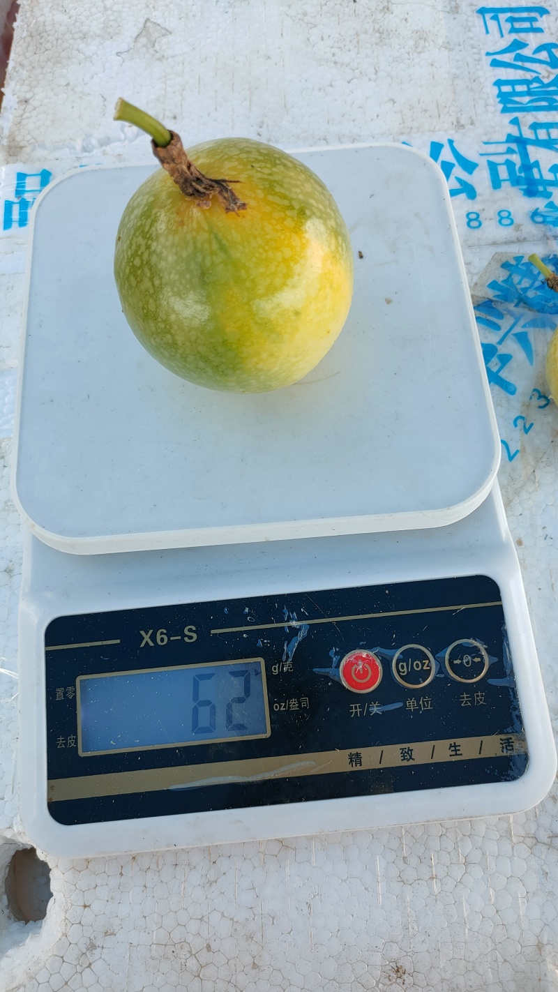 广东百香果湛江钦蜜9号香甜多汁货源充足
