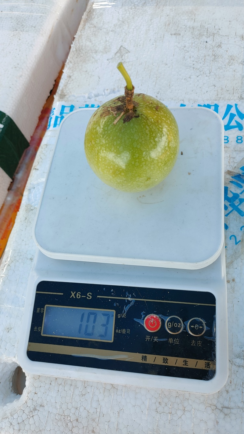 广东百香果湛江钦蜜9号香甜多汁货源充足