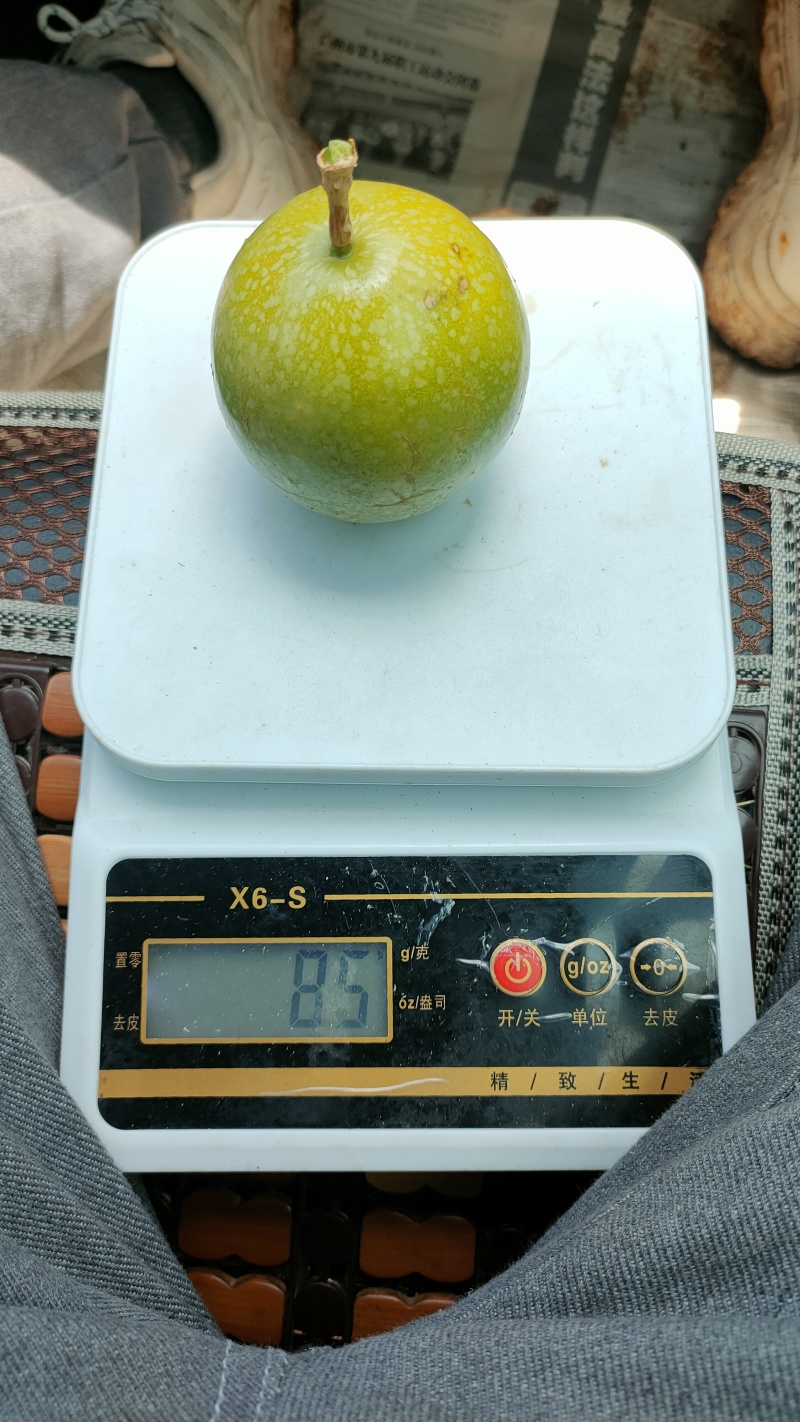 广东百香果湛江钦蜜9号香甜多汁货源充足