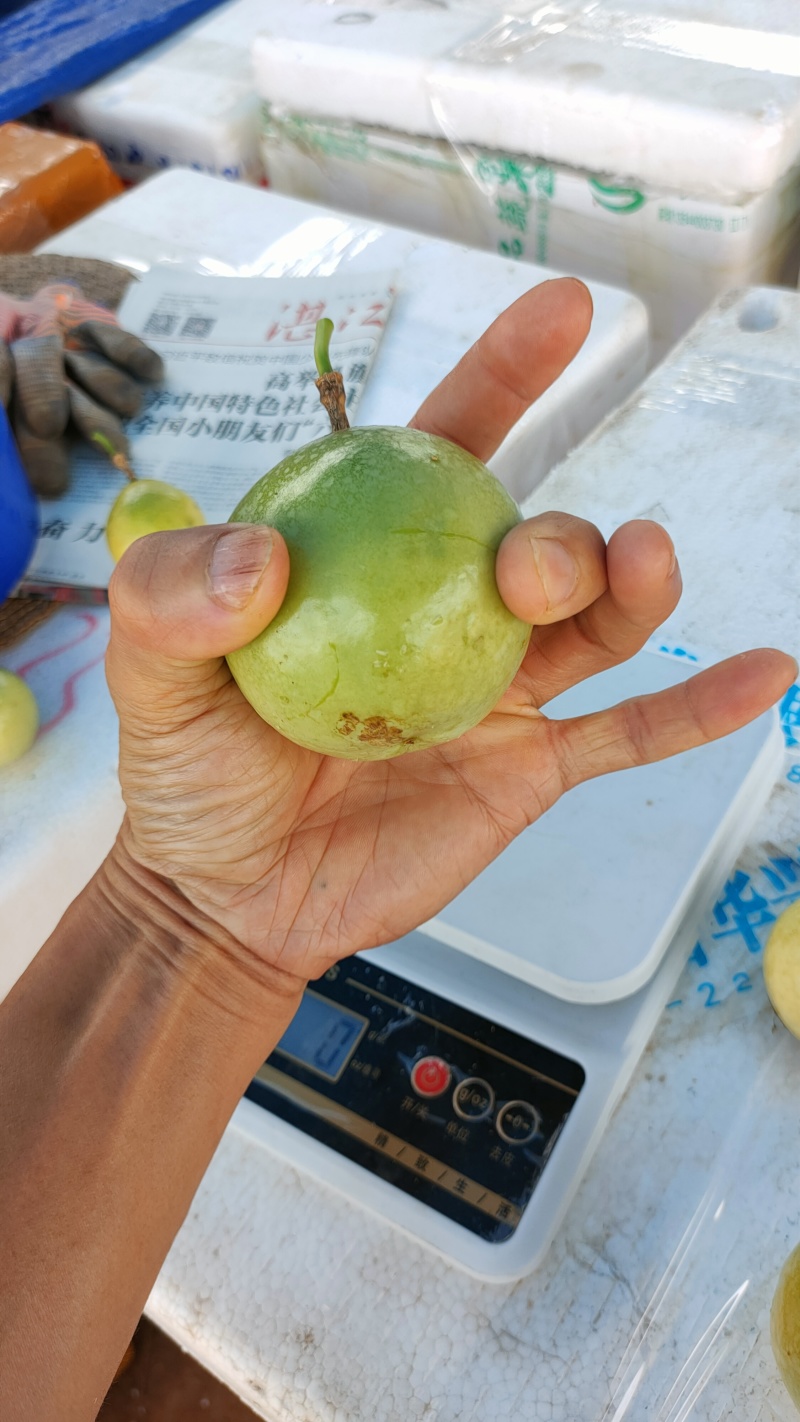 广东百香果湛江钦蜜9号香甜多汁货源充足