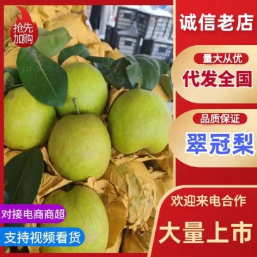 安徽翠冠梨蜜梨产地直发供货全国市场电商商超