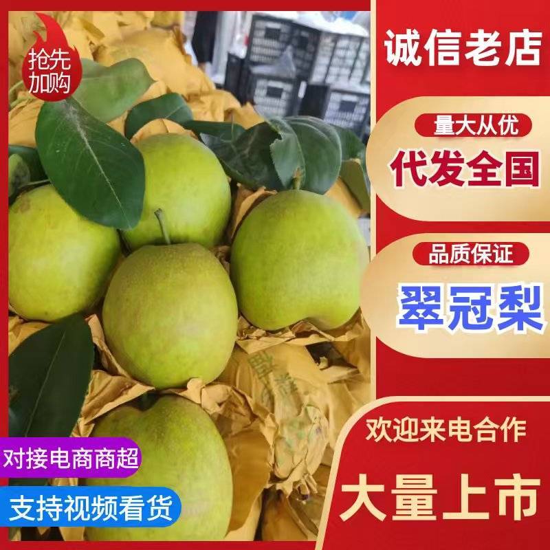 安徽翠冠梨蜜梨产地直发供货全国市场电商商超