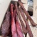 【卤味】猪肉大块肉