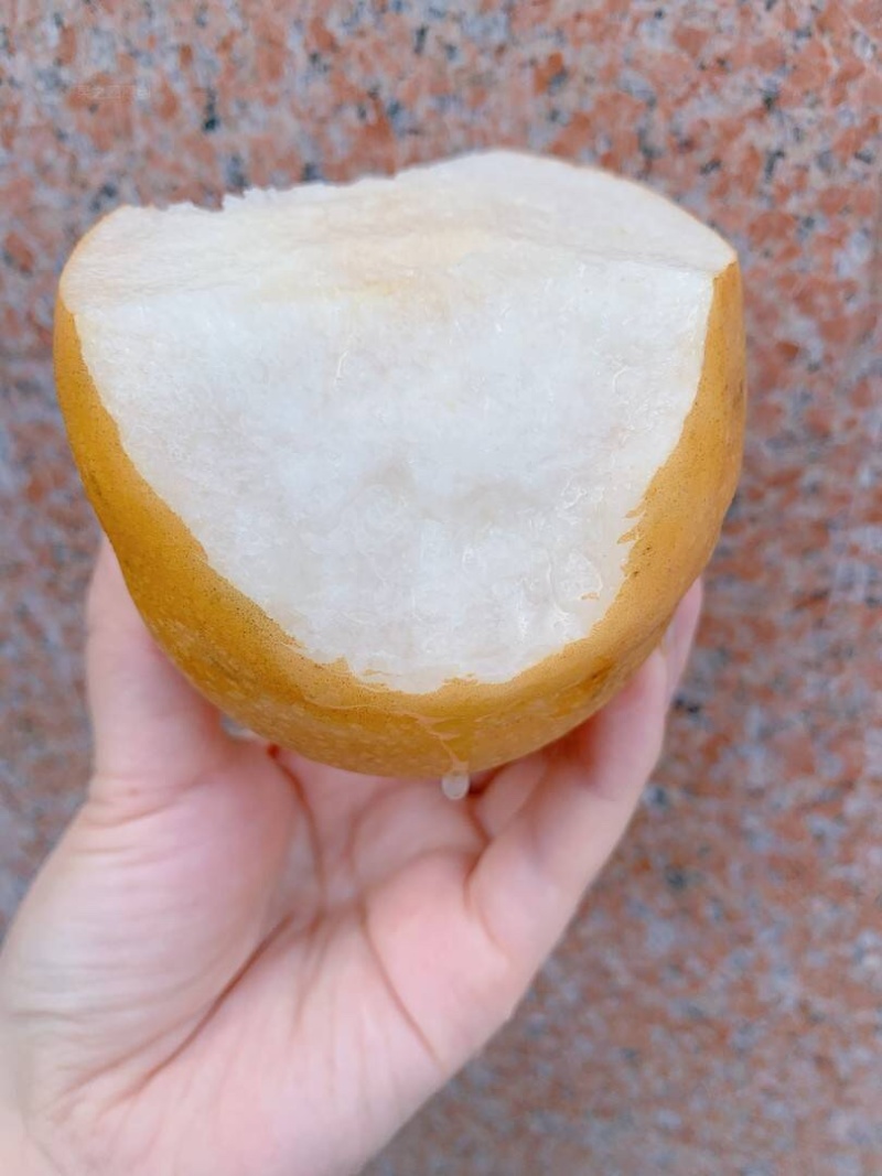 秋月梨三级果自家果园量大优惠有需要可以联系